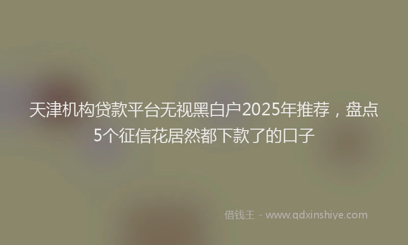 天津机构贷款平台无视黑白户2025年推荐，盘点5个征信花居然都下款了的口子