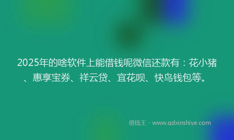 2025年的啥软件上能借钱呢微信还款有：花小猪、惠享宝券、祥云贷、宜花呗、快鸟钱包等。