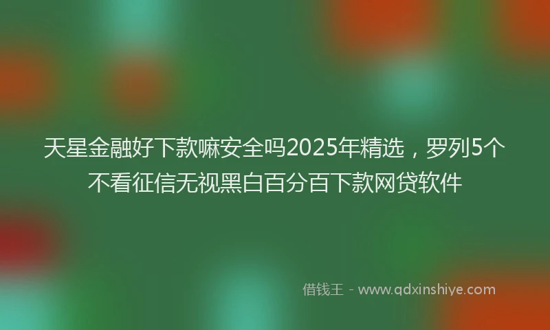 天星金融好下款嘛安全吗2025年精选，罗列5个不看征信无视黑白百分百下款网贷软件