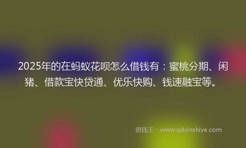 2025年的在蚂蚁花呗怎么借钱有：蜜桃分期、闲猪、借款宝快贷通、优乐快购、钱速融宝等。