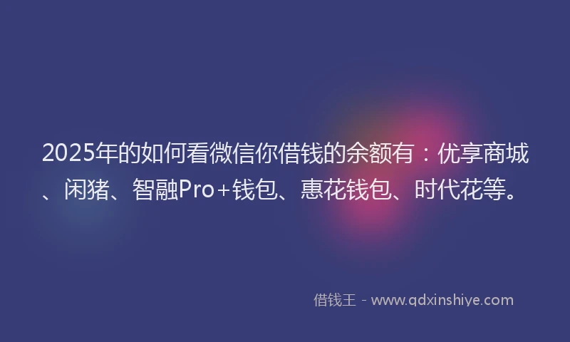 2025年的如何看微信你借钱的余额有：优享商城、闲猪、智融Pro+钱包、惠花钱包、时代花等。