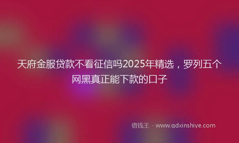 天府金服贷款不看征信吗2025年精选，罗列五个网黑真正能下款的口子