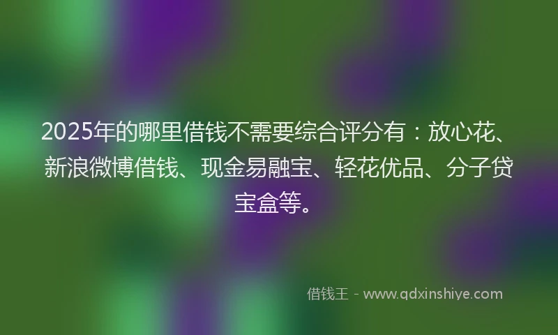 2025年的哪里借钱不需要综合评分有：放心花、新浪微博借钱、现金易融宝、轻花优品、分子贷宝盒等。