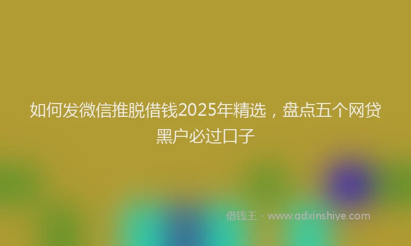 如何发微信推脱借钱2025年精选，盘点五个网贷黑户必过口子