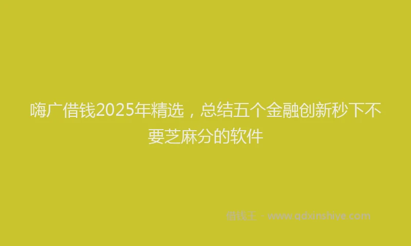 嗨广借钱2025年精选，总结五个金融创新秒下不要芝麻分的软件