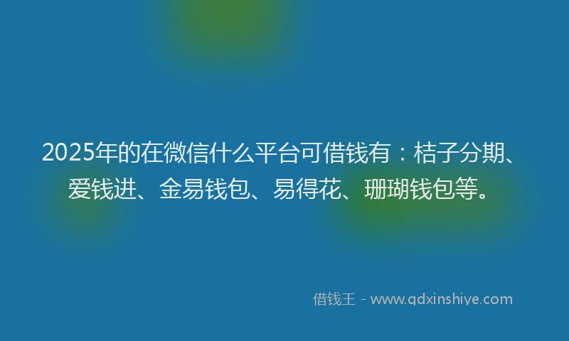 2025年的在微信什么平台可借钱有：桔子分期、爱钱进、金易钱包、易得花、珊瑚钱包等。