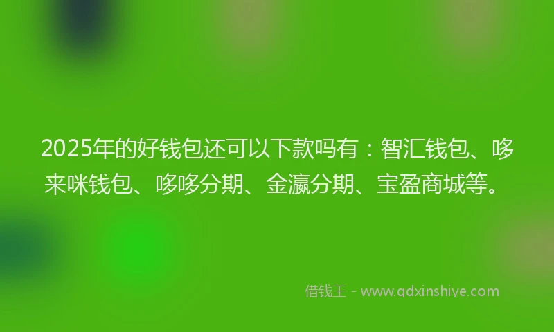 2025年的好钱包还可以下款吗有：智汇钱包、哆来咪钱包、哆哆分期、金瀛分期、宝盈商城等。