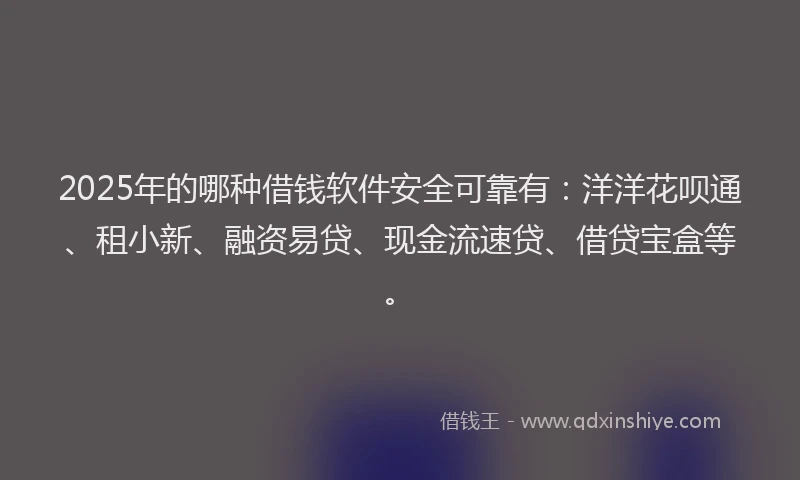2025年的哪种借钱软件安全可靠有：洋洋花呗通、租小新、融资易贷、现金流速贷、借贷宝盒等。