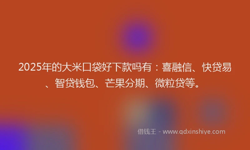 2025年的大米口袋好下款吗有：喜融信、快贷易、智贷钱包、芒果分期、微粒贷等。