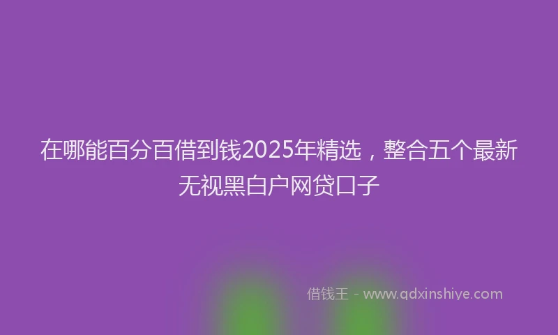 在哪能百分百借到钱2025年精选，整合五个最新无视黑白户网贷口子