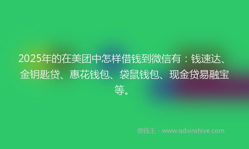 2025年的在美团中怎样借钱到微信有：钱速达、金钥匙贷、惠花钱包、袋鼠钱包、现金贷易融宝等。