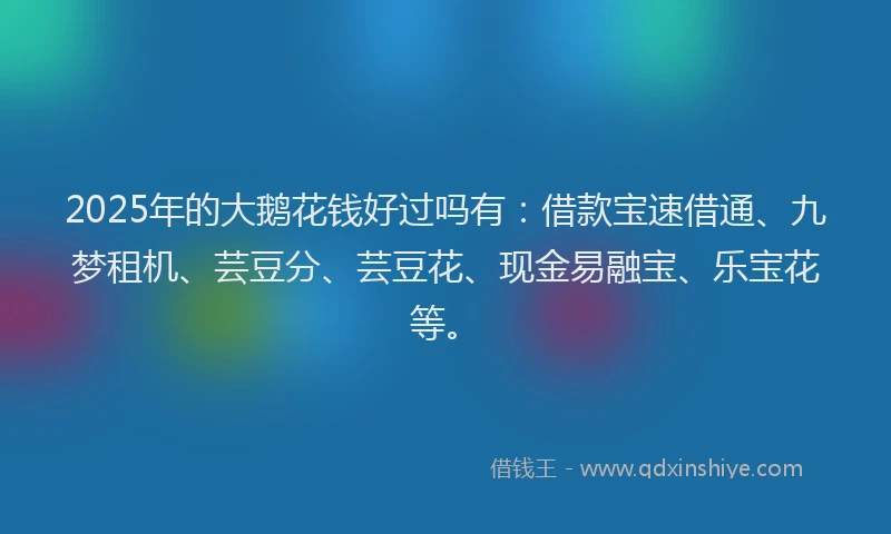 2025年的大鹅花钱好过吗有：借款宝速借通、九梦租机、芸豆分、芸豆花、现金易融宝、乐宝花等。