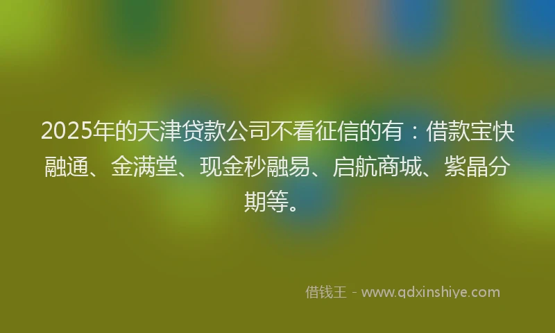 2025年的天津贷款公司不看征信的有：借款宝快融通、金满堂、现金秒融易、启航商城、紫晶分期等。