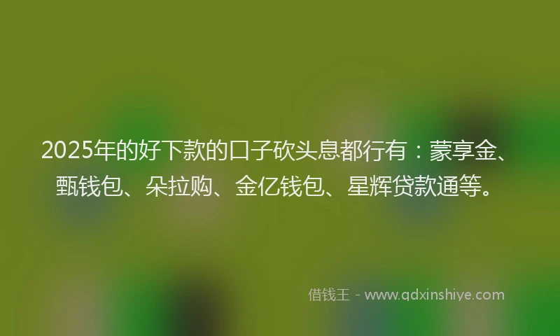 2025年的好下款的口子砍头息都行有：蒙享金、甄钱包、朵拉购、金亿钱包、星辉贷款通等。