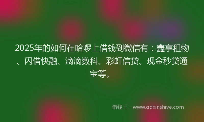 2025年的如何在哈啰上借钱到微信有：鑫享租物、闪借快融、滴滴数科、彩虹信贷、现金秒贷通宝等。
