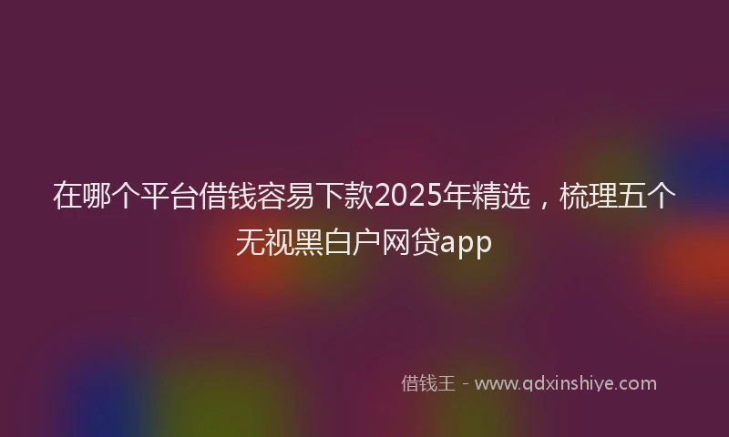 在哪个平台借钱容易下款2025年精选，梳理五个无视黑白户网贷app