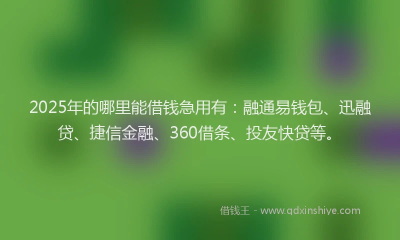 2025年的哪里能借钱急用有：融通易钱包、迅融贷、捷信金融、360借条、投友快贷等。