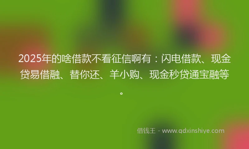 2025年的啥借款不看征信啊有：闪电借款、现金贷易借融、替你还、羊小购、现金秒贷通宝融等。