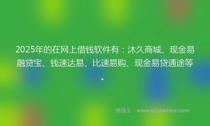 2025年的在网上借钱软件有：沐久商城、现金易融贷宝、钱速达易、比速易购、现金易贷通途等。