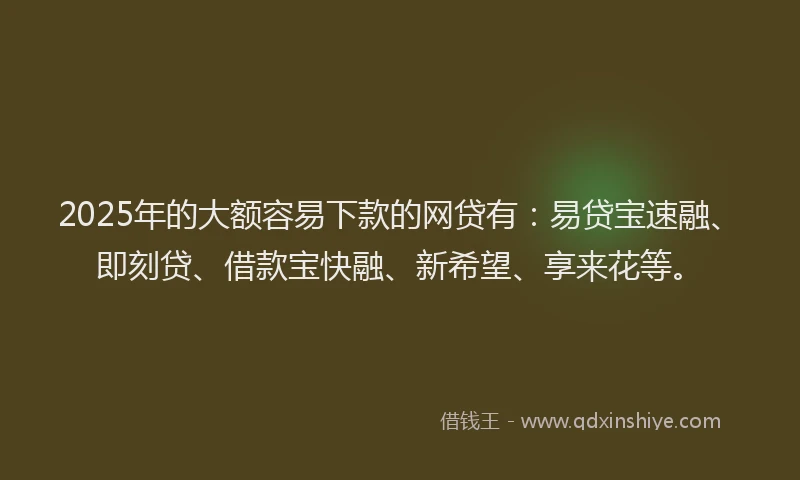 2025年的大额容易下款的网贷有：易贷宝速融、即刻贷、借款宝快融、新希望、享来花等。