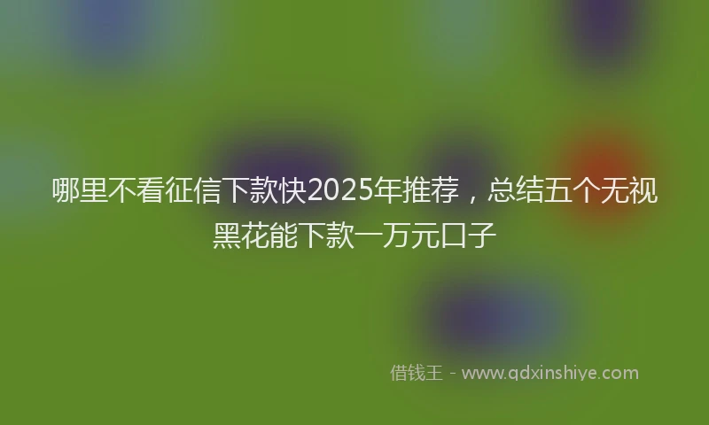 哪里不看征信下款快2025年推荐，总结五个无视黑花能下款一万元口子