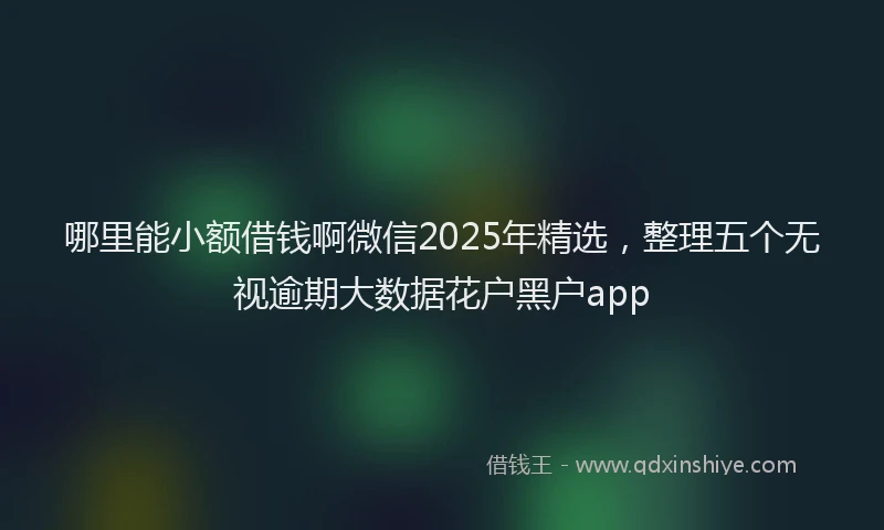 哪里能小额借钱啊微信2025年精选，整理五个无视逾期大数据花户黑户app