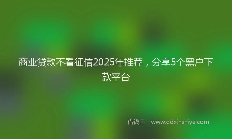 商业贷款不看征信2025年推荐，分享5个黑户下款平台