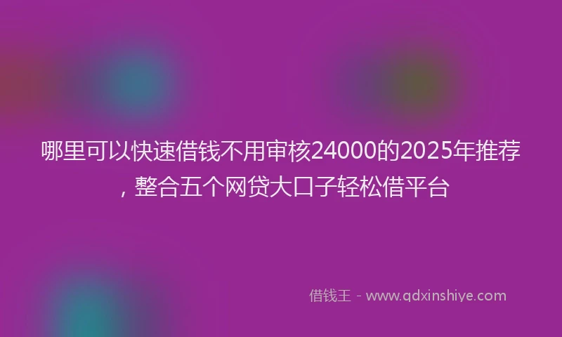 哪里可以快速借钱不用审核24000的2025年推荐，整合五个网贷大口子轻松借平台