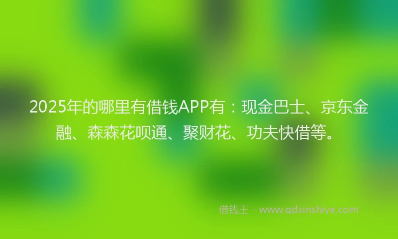 2025年的哪里有借钱APP有：现金巴士、京东金融、森森花呗通、聚财花、功夫快借等。