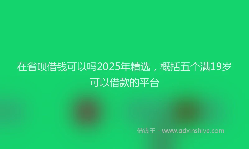在省呗借钱可以吗2025年精选，概括五个满19岁可以借款的平台