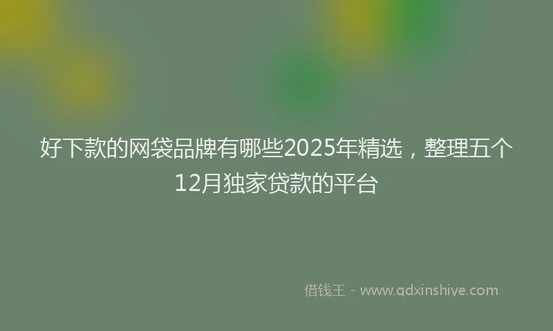 好下款的网袋品牌有哪些2025年精选，整理五个12月独家贷款的平台