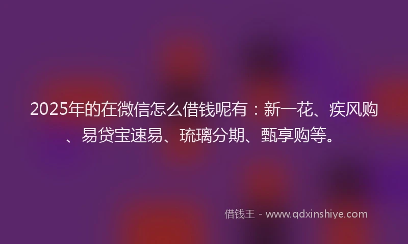 2025年的在微信怎么借钱呢有：新一花、疾风购、易贷宝速易、琉璃分期、甄享购等。