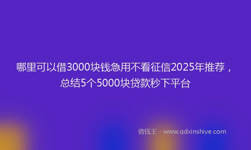 哪里可以借3000块钱急用不看征信2025年推荐，总结5个5000块贷款秒下平台