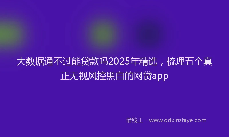 大数据通不过能贷款吗2025年精选，梳理五个真正无视风控黑白的网贷app