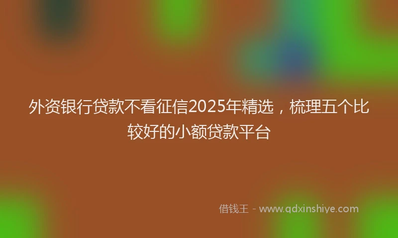 外资银行贷款不看征信2025年精选，梳理五个比较好的小额贷款平台