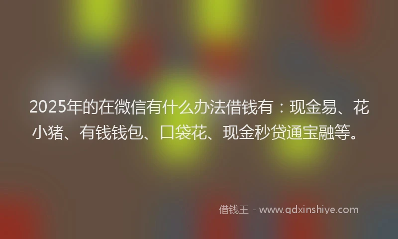 2025年的在微信有什么办法借钱有：现金易、花小猪、有钱钱包、口袋花、现金秒贷通宝融等。