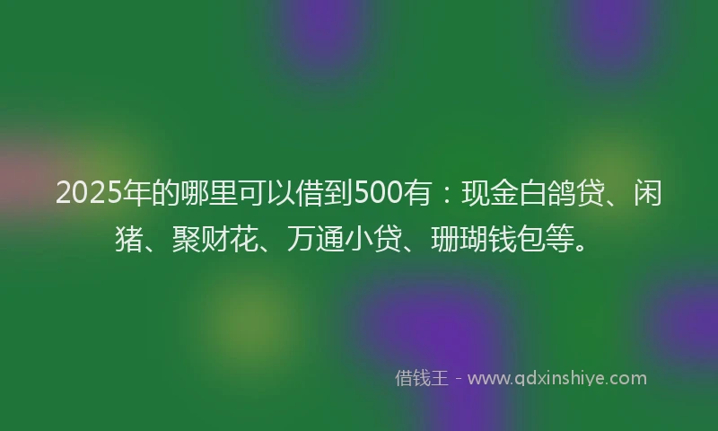 2025年的哪里可以借到500有：现金白鸽贷、闲猪、聚财花、万通小贷、珊瑚钱包等。