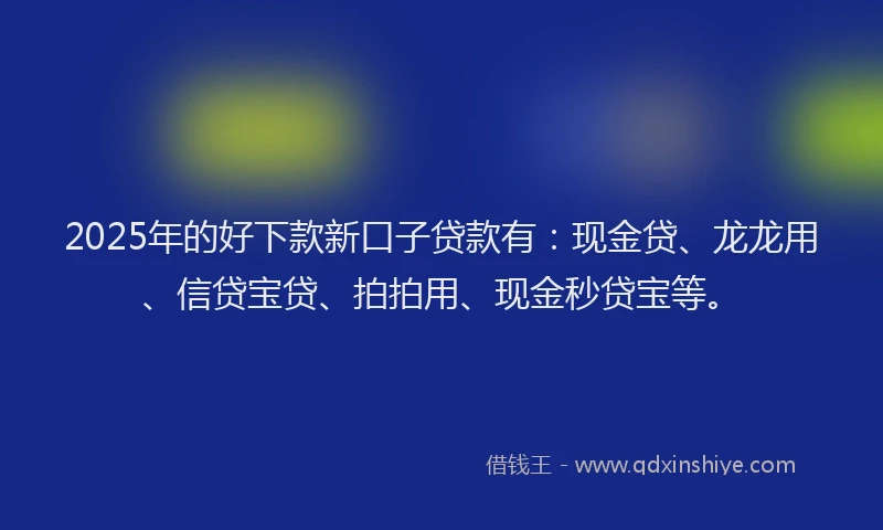 2025年的好下款新口子贷款有：现金贷、龙龙用、信贷宝贷、拍拍用、现金秒贷宝等。