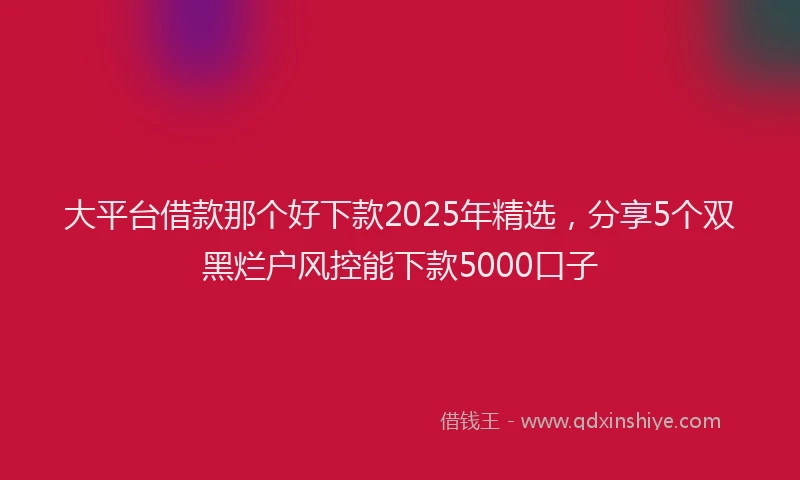 大平台借款那个好下款2025年精选，分享5个双黑烂户风控能下款5000口子