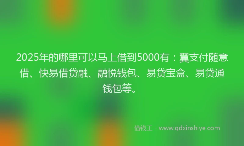 2025年的哪里可以马上借到5000有：翼支付随意借、快易借贷融、融悦钱包、易贷宝盒、易贷通钱包等。