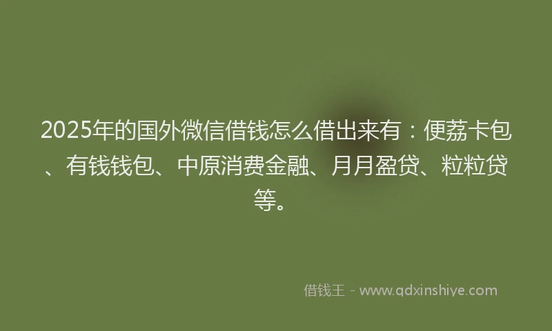 2025年的国外微信借钱怎么借出来有：便荔卡包、有钱钱包、中原消费金融、月月盈贷、粒粒贷等。