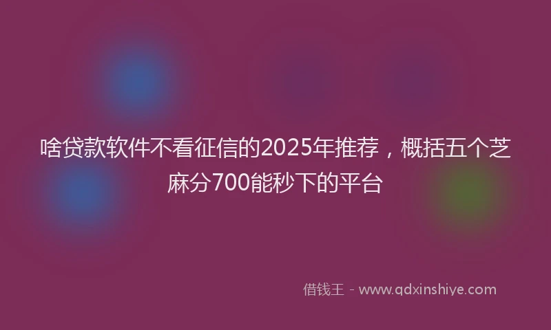 啥贷款软件不看征信的2025年推荐，概括五个芝麻分700能秒下的平台