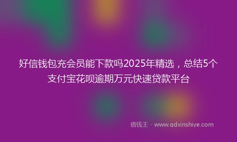 好信钱包充会员能下款吗2025年精选，总结5个支付宝花呗逾期万元快速贷款平台