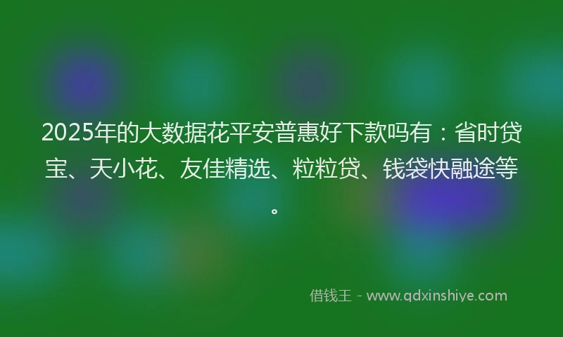 2025年的大数据花平安普惠好下款吗有：省时贷宝、天小花、友佳精选、粒粒贷、钱袋快融途等。