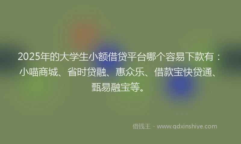 2025年的大学生小额借贷平台哪个容易下款有：小喵商城、省时贷融、惠众乐、借款宝快贷通、甄易融宝等。