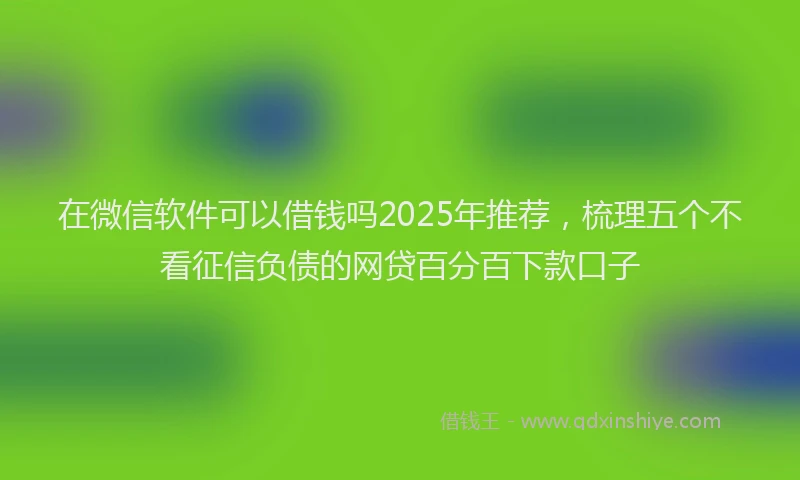 在微信软件可以借钱吗2025年推荐，梳理五个不看征信负债的网贷百分百下款口子