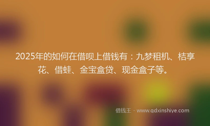 2025年的如何在借呗上借钱有：九梦租机、桔享花、借蛙、金宝盒贷、现金盒子等。