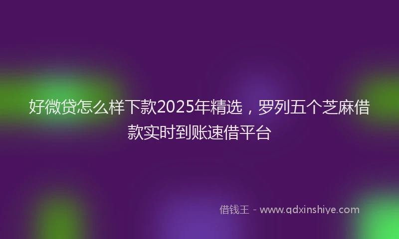 好微贷怎么样下款2025年精选，罗列五个芝麻借款实时到账速借平台