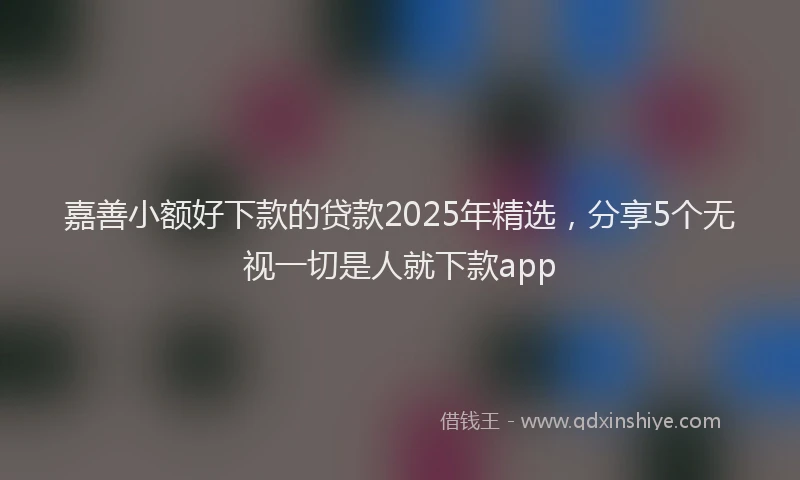嘉善小额好下款的贷款2025年精选，分享5个无视一切是人就下款app