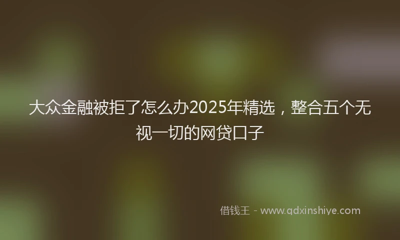 大众金融被拒了怎么办2025年精选，整合五个无视一切的网贷口子
